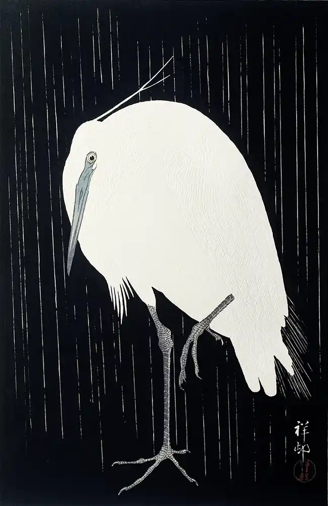 Egret in the rain